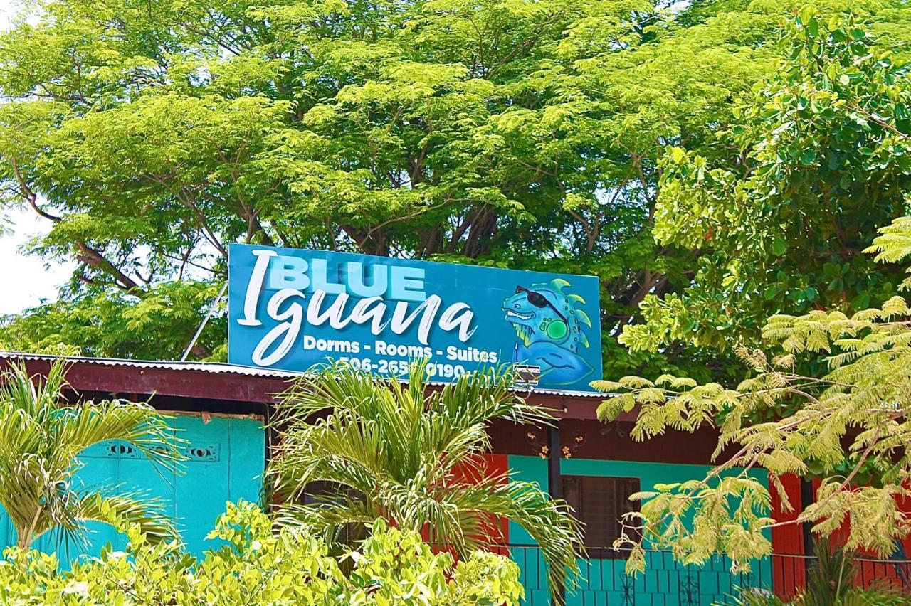 Blue Iguana Hotel Sámara Exterior foto